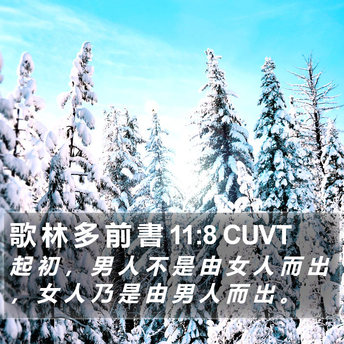 歌 林 多 前 書 11:8 CUVT Bible Study