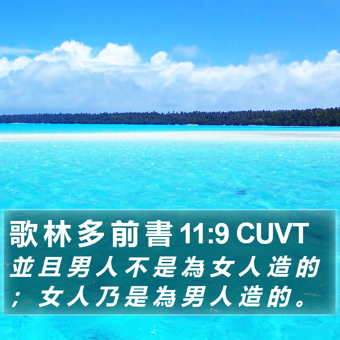 歌 林 多 前 書 11:9 CUVT Bible Study