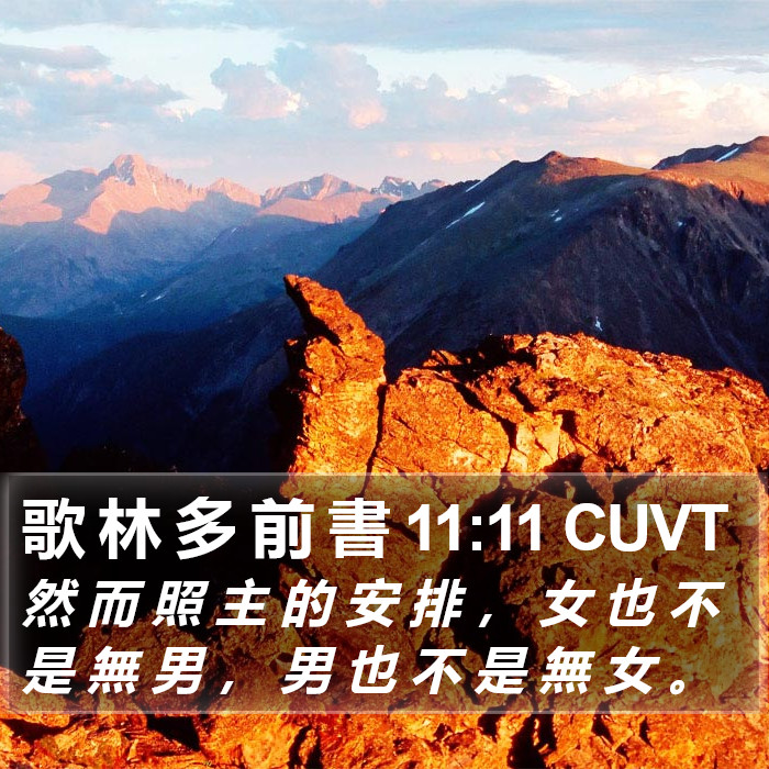 歌 林 多 前 書 11:11 CUVT Bible Study