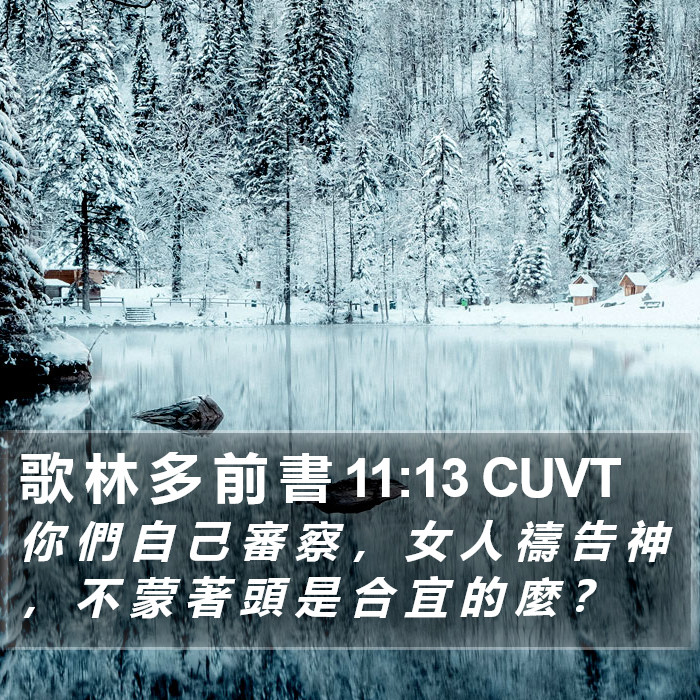 歌 林 多 前 書 11:13 CUVT Bible Study