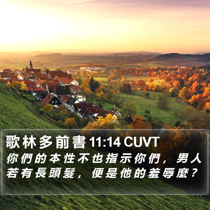 歌 林 多 前 書 11:14 CUVT Bible Study