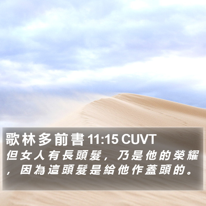 歌 林 多 前 書 11:15 CUVT Bible Study