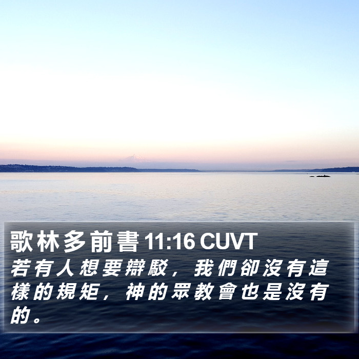 歌 林 多 前 書 11:16 CUVT Bible Study