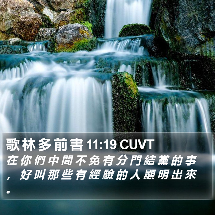 歌 林 多 前 書 11:19 CUVT Bible Study