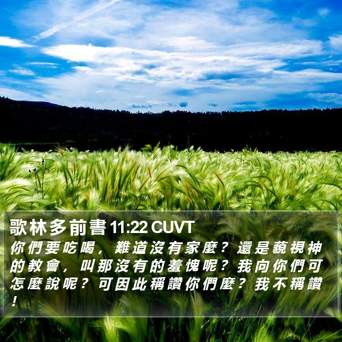 歌 林 多 前 書 11:22 CUVT Bible Study