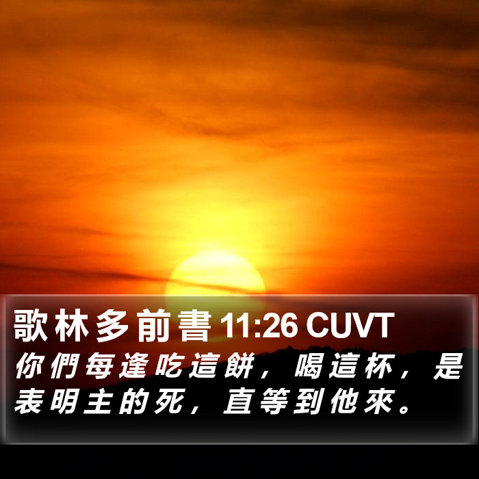 歌 林 多 前 書 11:26 CUVT Bible Study