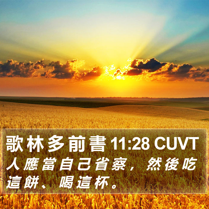 歌 林 多 前 書 11:28 CUVT Bible Study