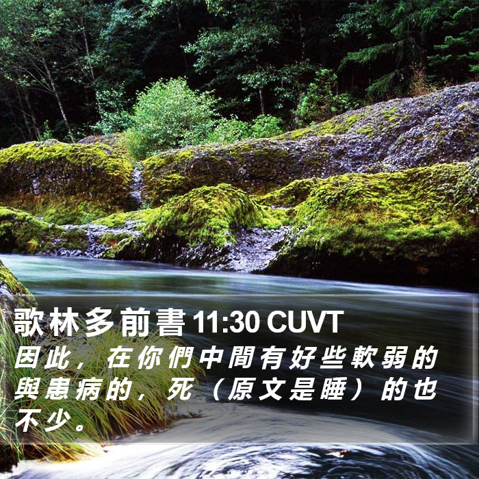 歌 林 多 前 書 11:30 CUVT Bible Study