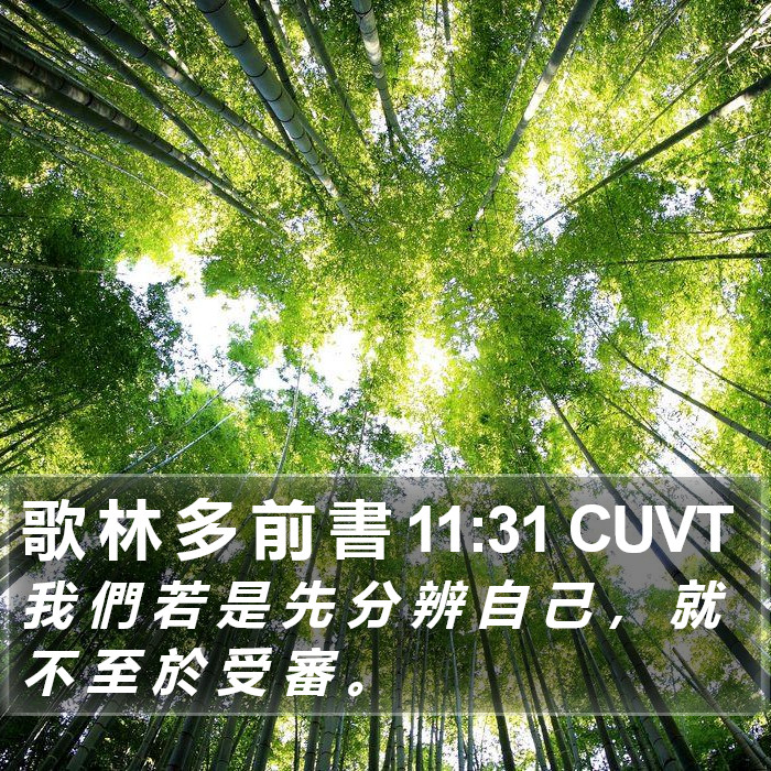 歌 林 多 前 書 11:31 CUVT Bible Study