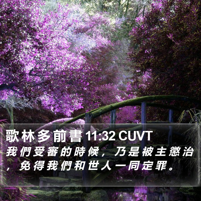 歌 林 多 前 書 11:32 CUVT Bible Study