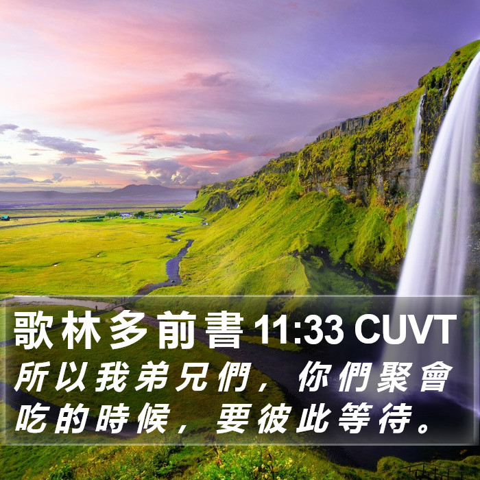 歌 林 多 前 書 11:33 CUVT Bible Study