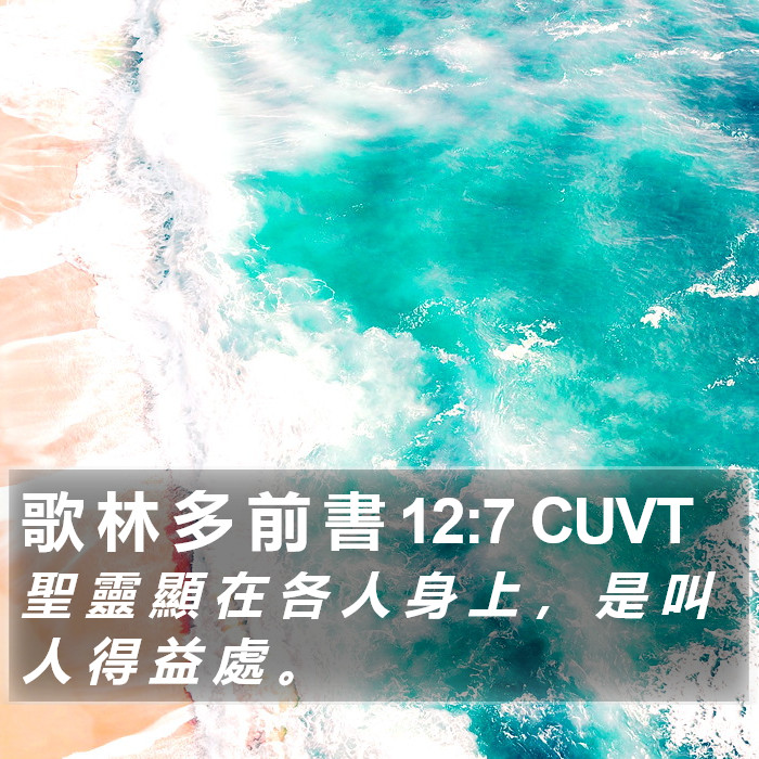 歌 林 多 前 書 12:7 CUVT Bible Study