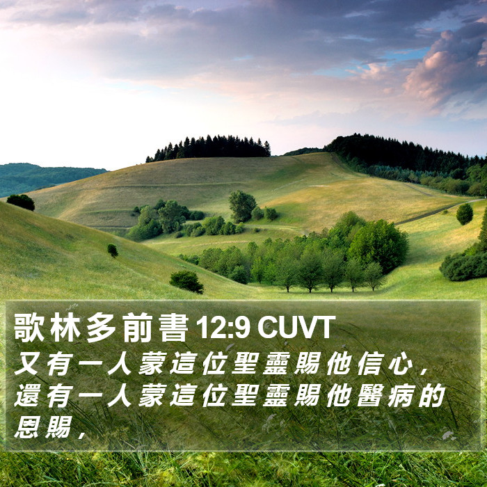 歌 林 多 前 書 12:9 CUVT Bible Study