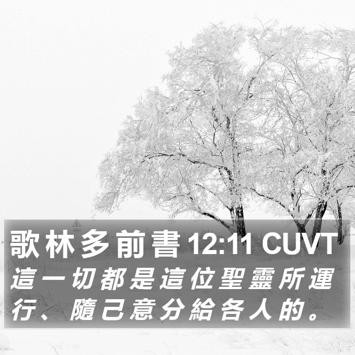 歌 林 多 前 書 12:11 CUVT Bible Study