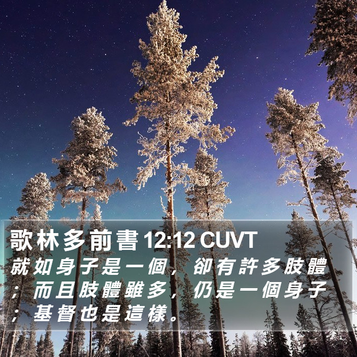 歌 林 多 前 書 12:12 CUVT Bible Study