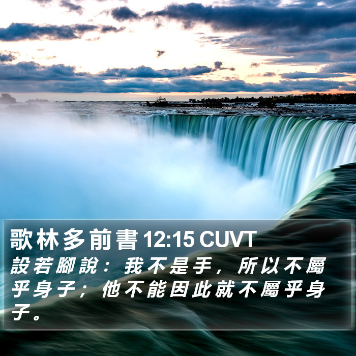 歌 林 多 前 書 12:15 CUVT Bible Study