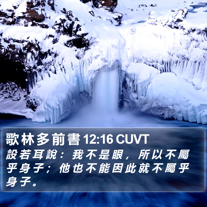 歌 林 多 前 書 12:16 CUVT Bible Study