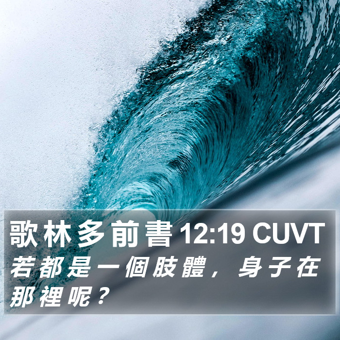 歌 林 多 前 書 12:19 CUVT Bible Study