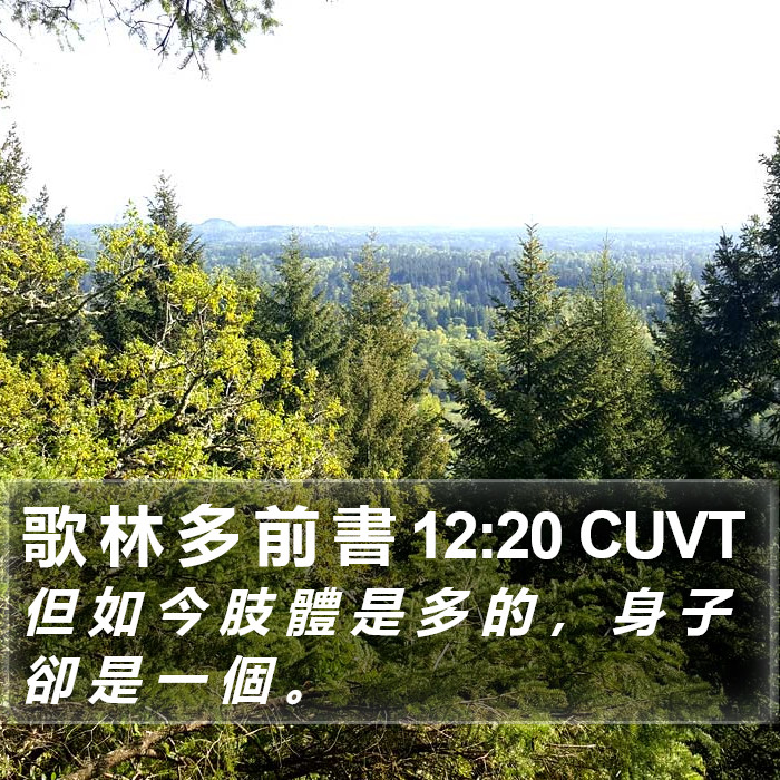 歌 林 多 前 書 12:20 CUVT Bible Study