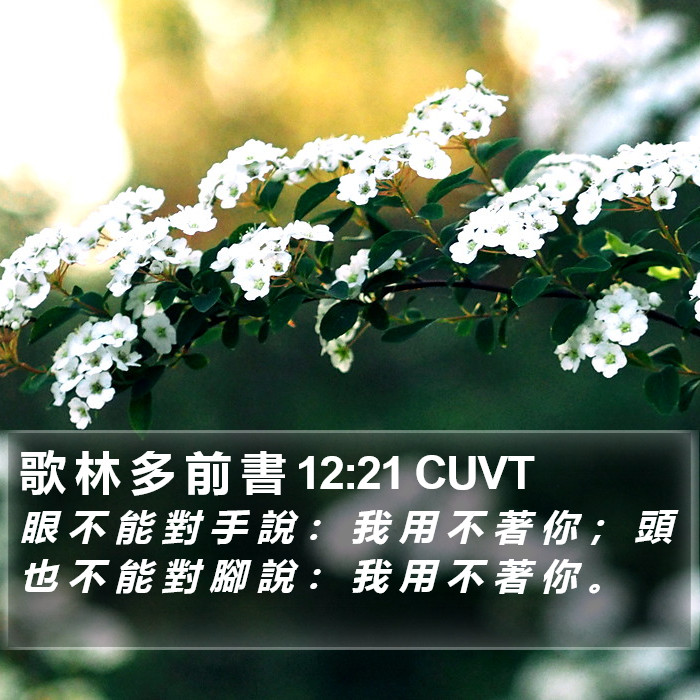 歌 林 多 前 書 12:21 CUVT Bible Study
