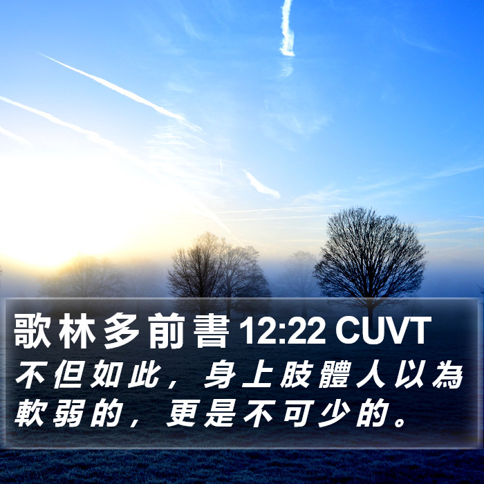 歌 林 多 前 書 12:22 CUVT Bible Study