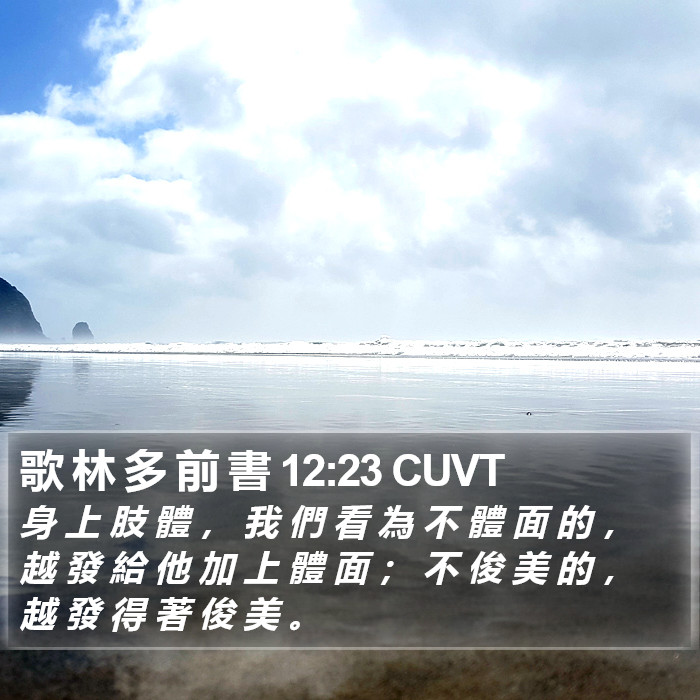 歌 林 多 前 書 12:23 CUVT Bible Study