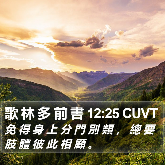 歌 林 多 前 書 12:25 CUVT Bible Study