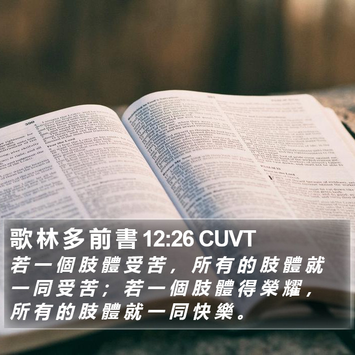 歌 林 多 前 書 12:26 CUVT Bible Study