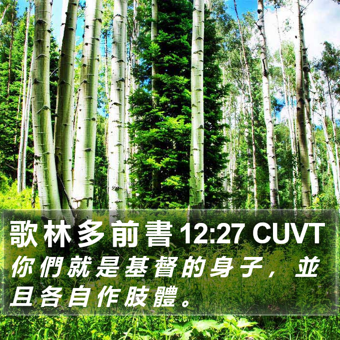 歌 林 多 前 書 12:27 CUVT Bible Study