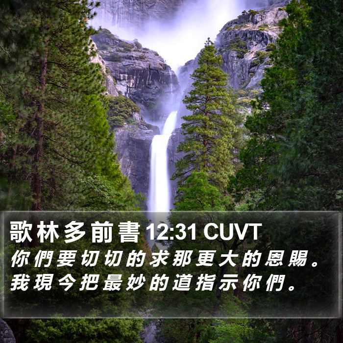 歌 林 多 前 書 12:31 CUVT Bible Study