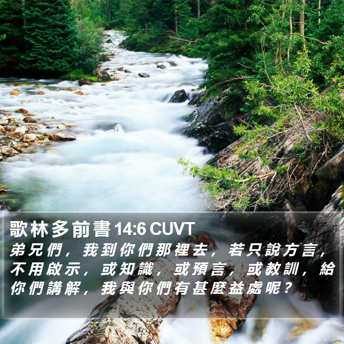 歌 林 多 前 書 14:6 CUVT Bible Study