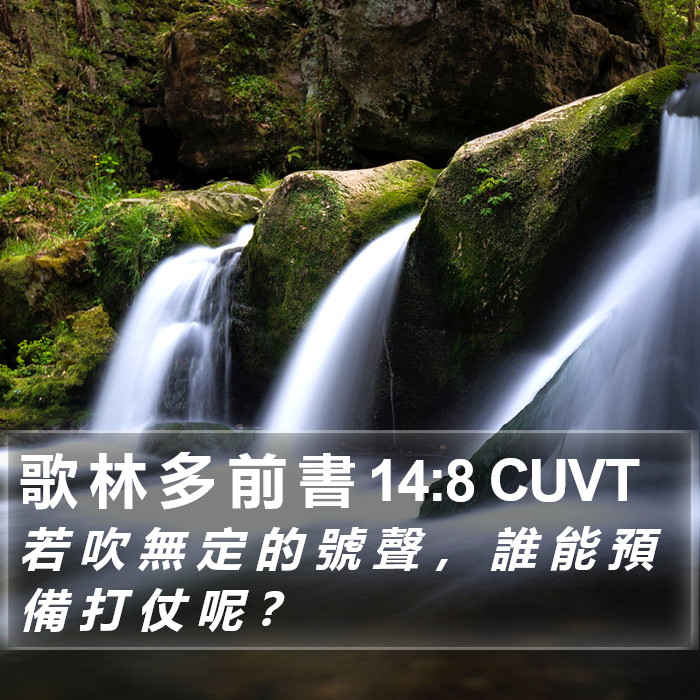 歌 林 多 前 書 14:8 CUVT Bible Study