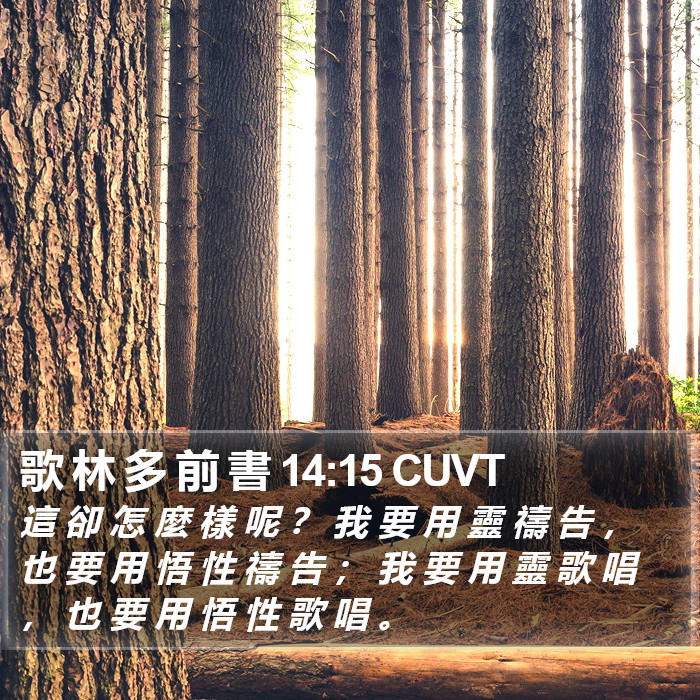 歌 林 多 前 書 14:15 CUVT Bible Study