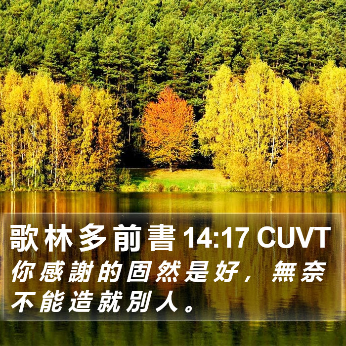 歌 林 多 前 書 14:17 CUVT Bible Study