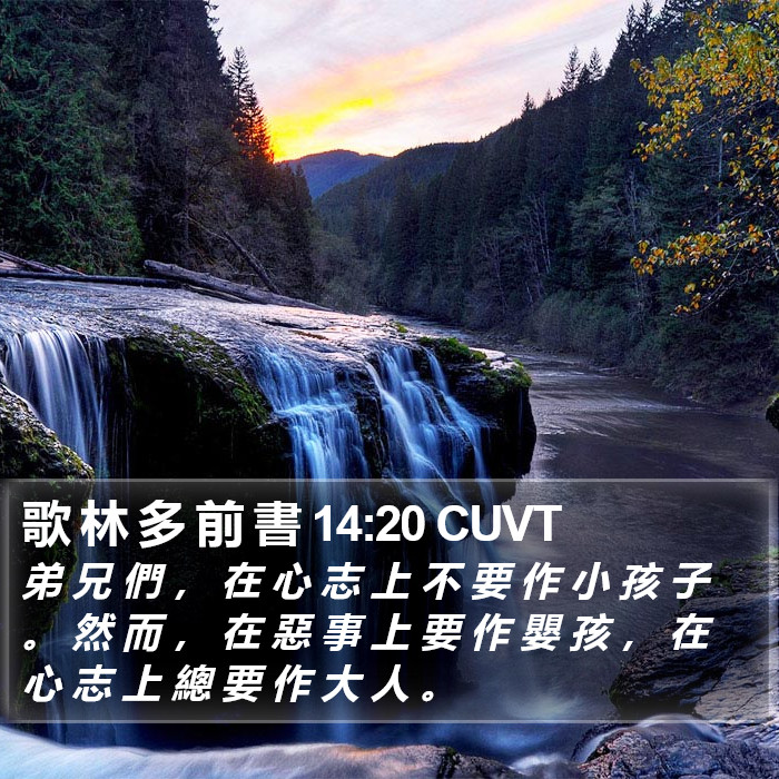 歌 林 多 前 書 14:20 CUVT Bible Study