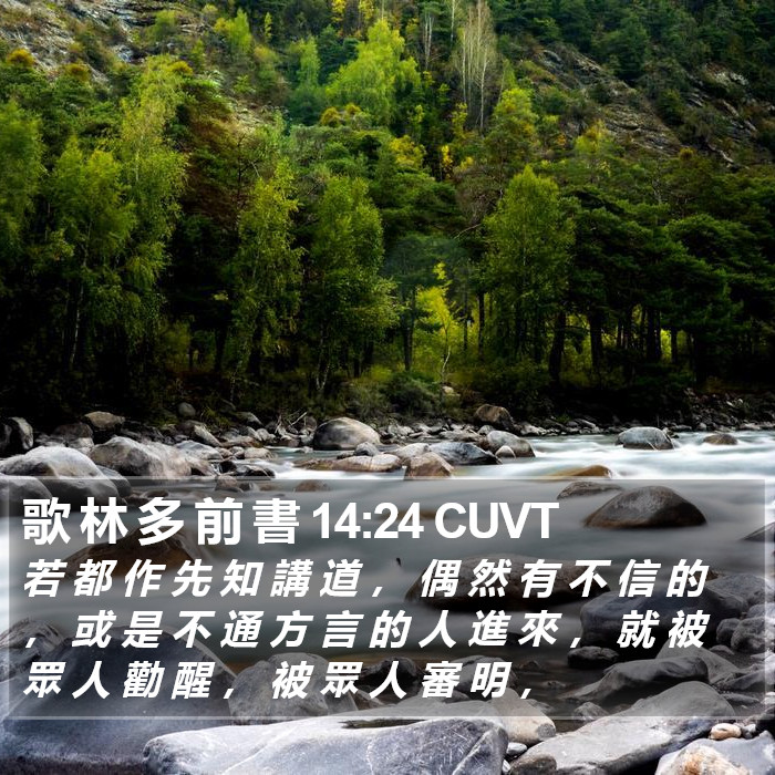 歌 林 多 前 書 14:24 CUVT Bible Study