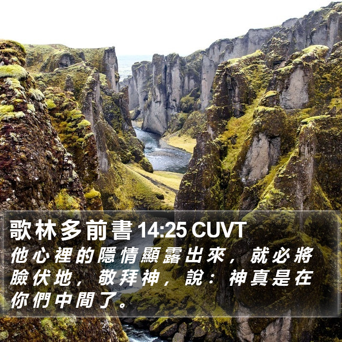 歌 林 多 前 書 14:25 CUVT Bible Study