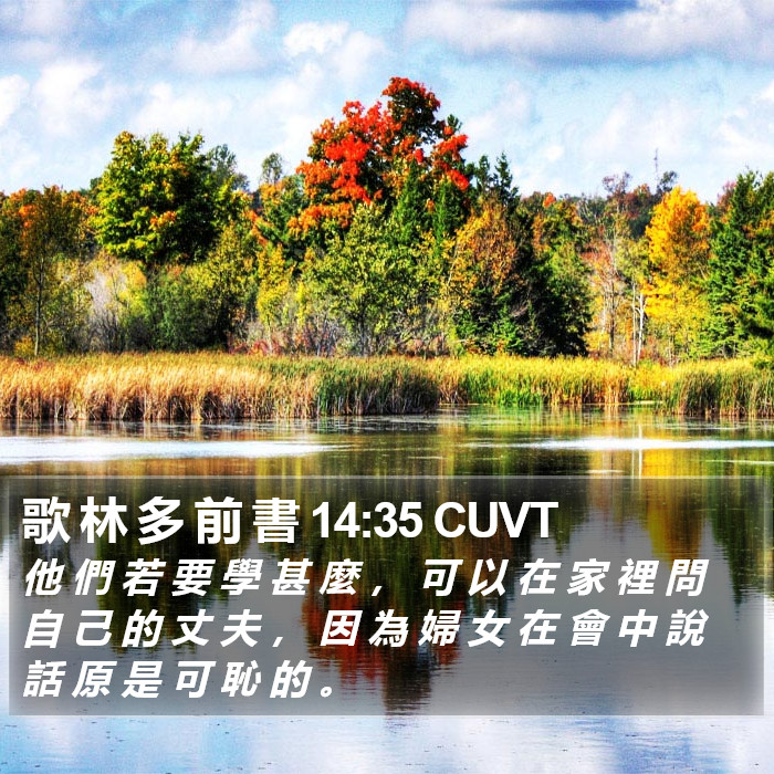 歌 林 多 前 書 14:35 CUVT Bible Study