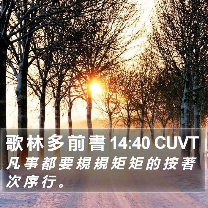 歌 林 多 前 書 14:40 CUVT Bible Study