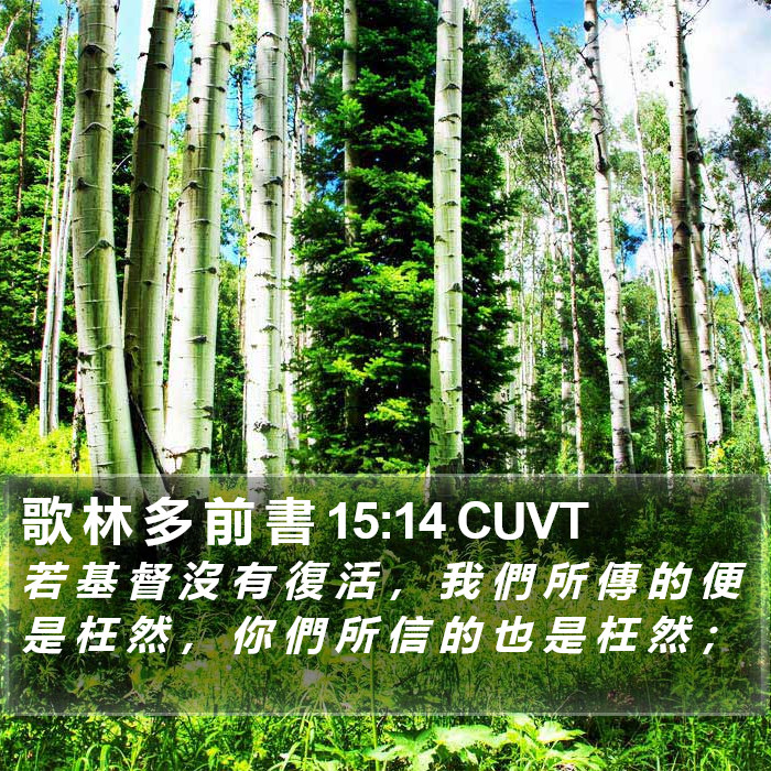 歌 林 多 前 書 15:14 CUVT Bible Study