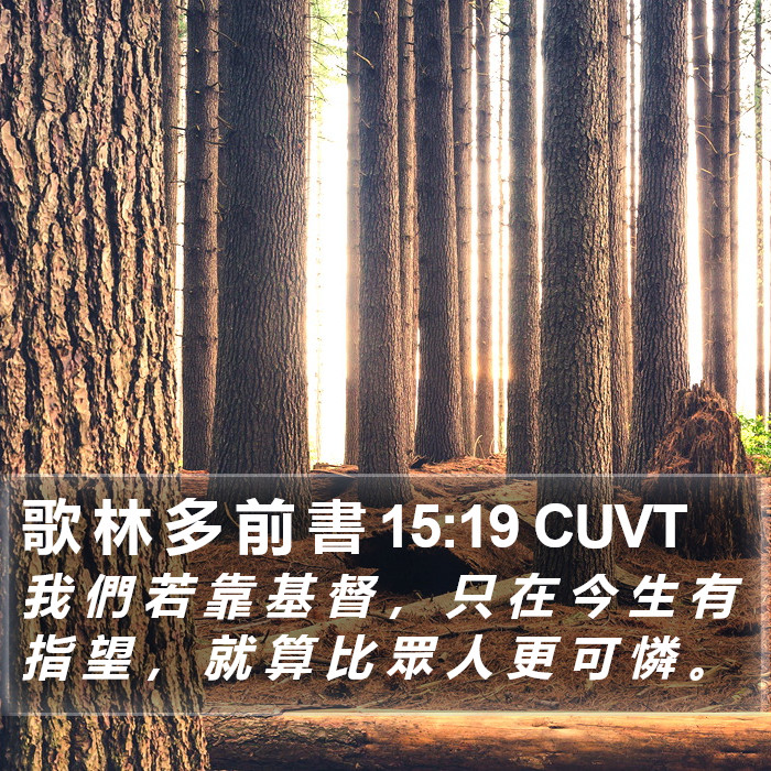歌 林 多 前 書 15:19 CUVT Bible Study