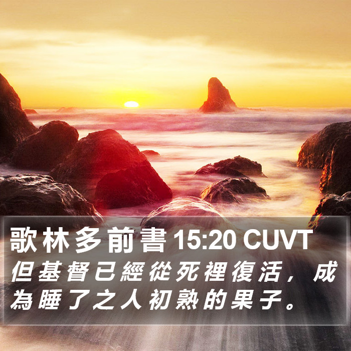歌 林 多 前 書 15:20 CUVT Bible Study