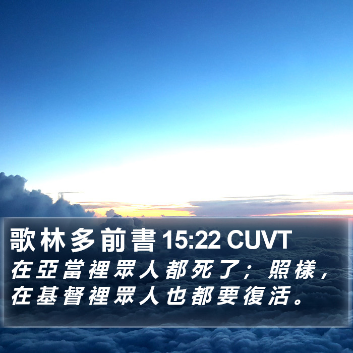 歌 林 多 前 書 15:22 CUVT Bible Study