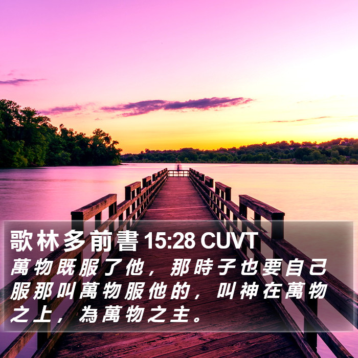 歌 林 多 前 書 15:28 CUVT Bible Study