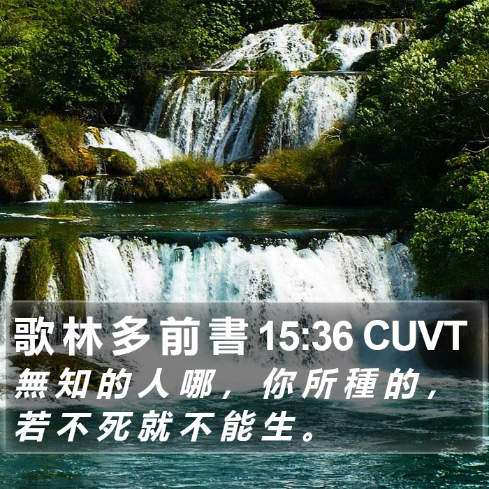 歌 林 多 前 書 15:36 CUVT Bible Study