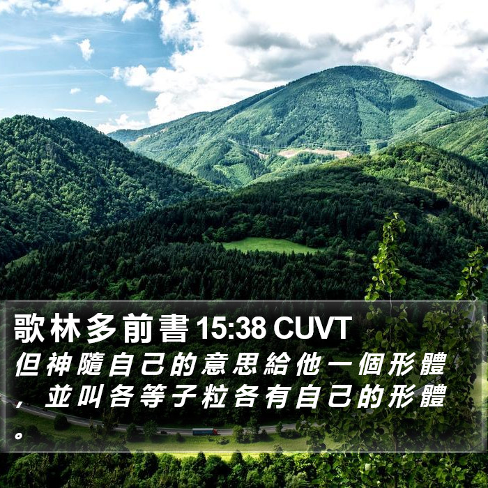 歌 林 多 前 書 15:38 CUVT Bible Study