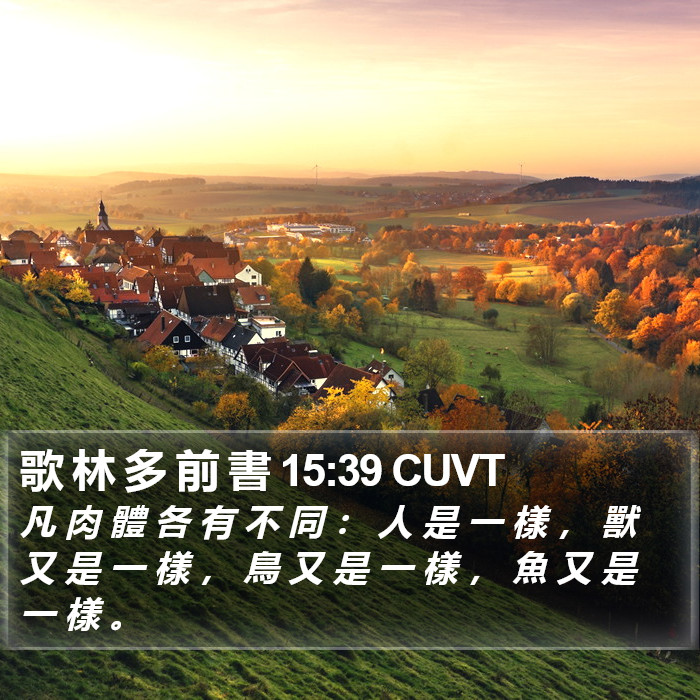 歌 林 多 前 書 15:39 CUVT Bible Study