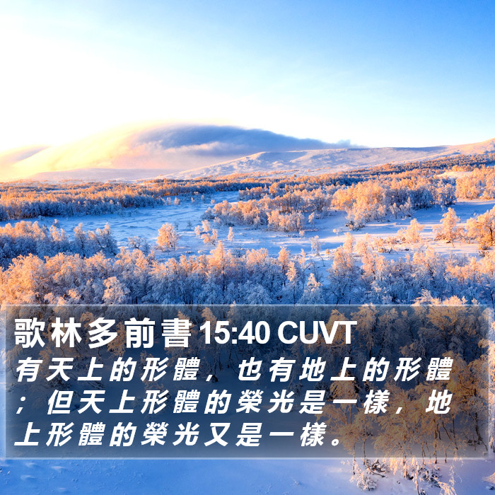歌 林 多 前 書 15:40 CUVT Bible Study