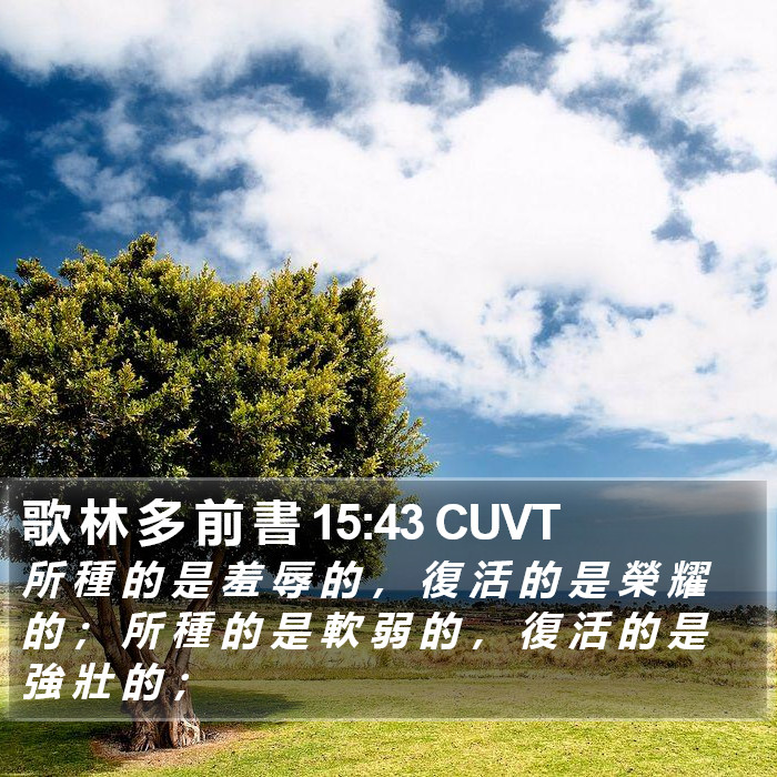歌 林 多 前 書 15:43 CUVT Bible Study