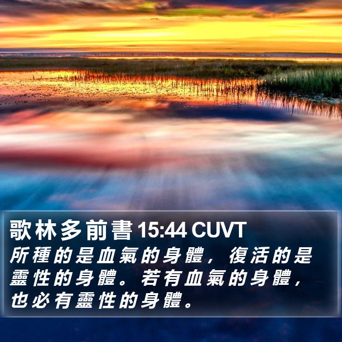 歌 林 多 前 書 15:44 CUVT Bible Study